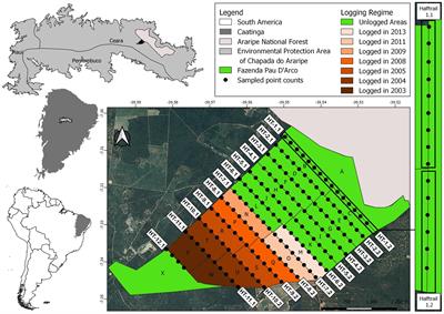 The Effect of Forest Management on the Avifauna of a Brazilian Dry Forest